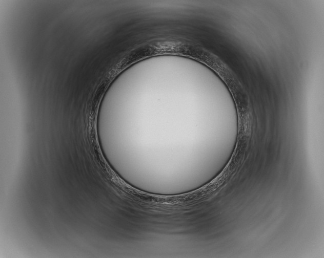 X0000116440737200912081352