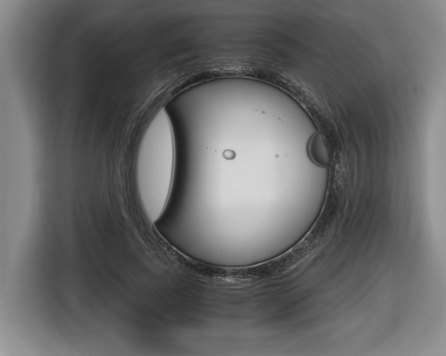 X0000116440739200912081352