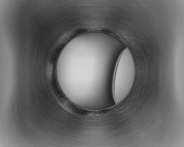 X0000116440742200912081352