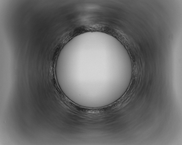 X0000116440749200912081352