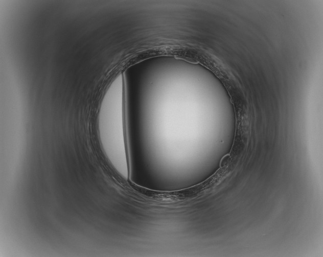 X0000116440750200912081352