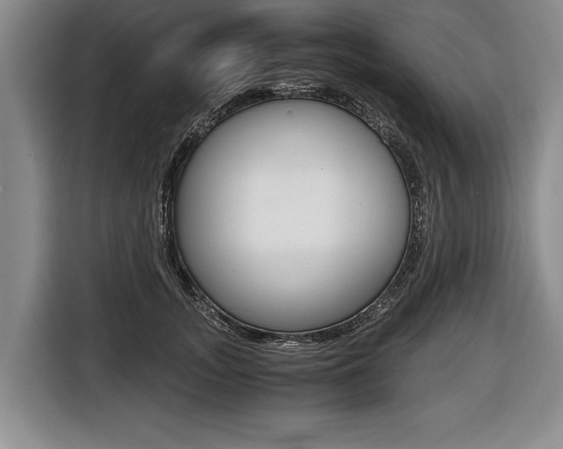 X0000116440755200912081352