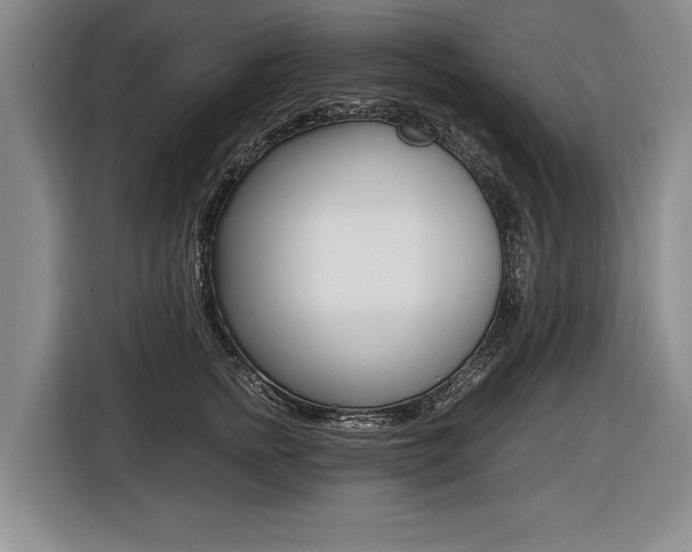 X0000116440758200912081352