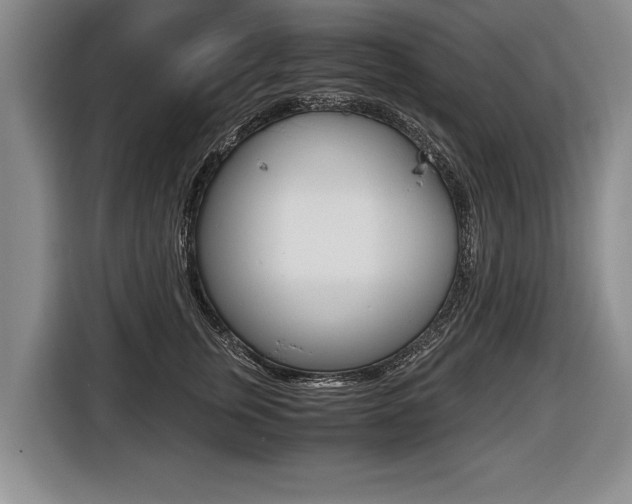 X0000116440759200912081352
