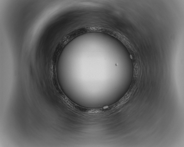 X0000116440762200912081352