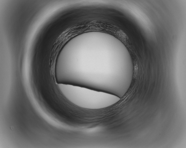 X0000116440765200912081353