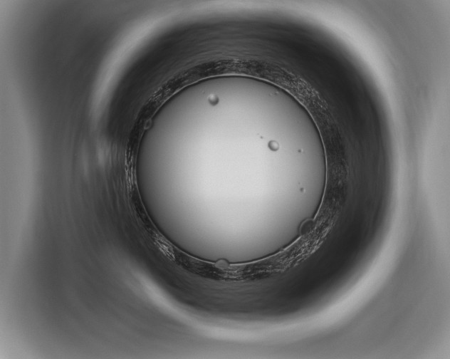 X0000116440766200912081353