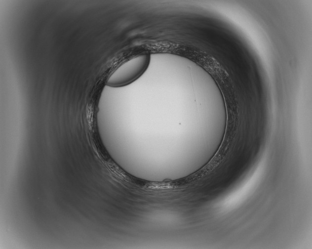 X0000116440767200912081353