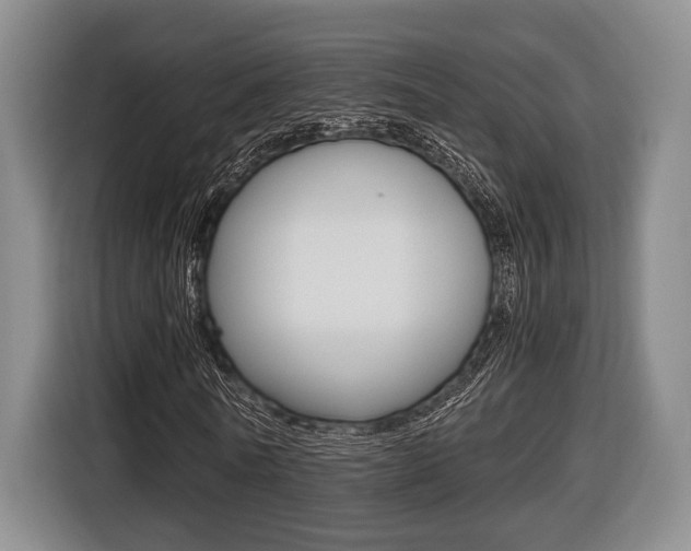 X0000116440770200912081352