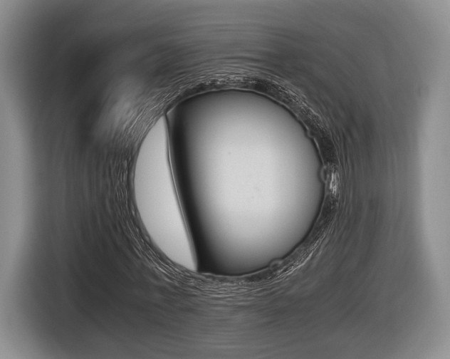 X0000116440771200912081352