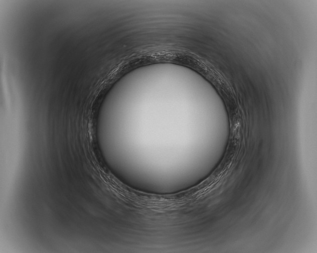 X0000116440772200912081352