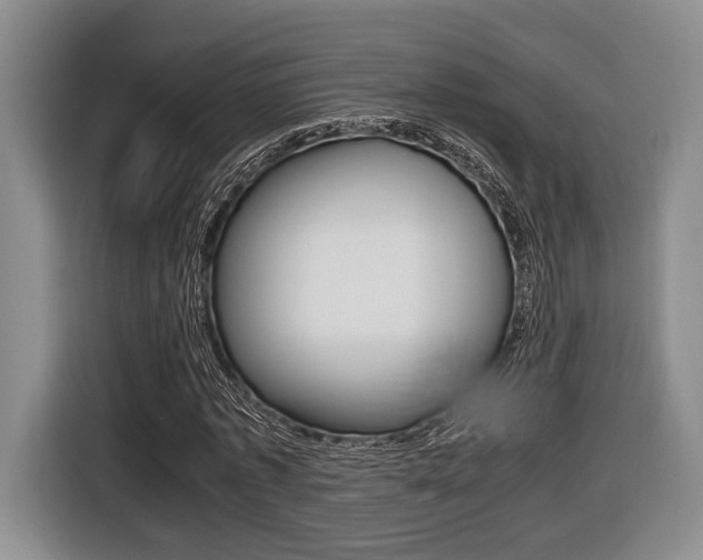 X0000116440773200912081352