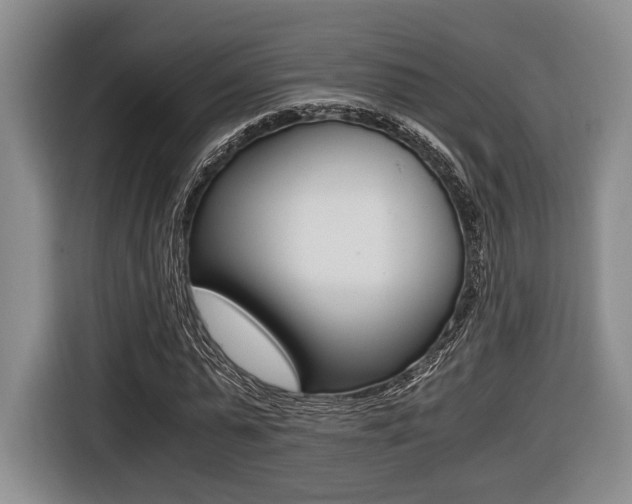 X0000116440775200912081352