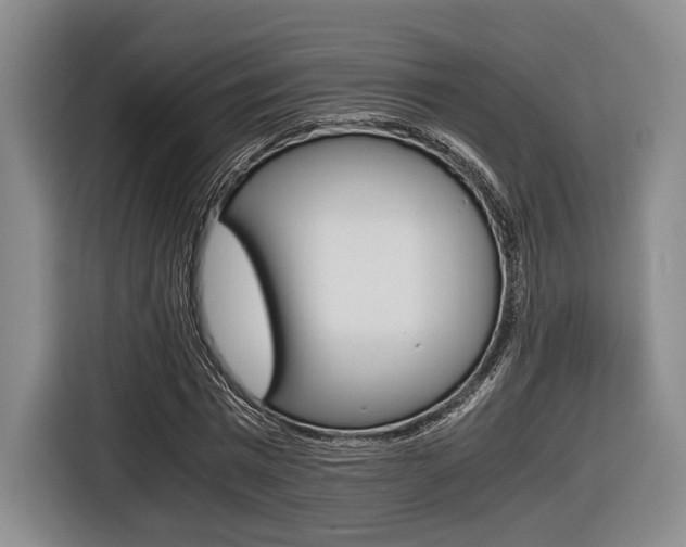X0000116440777200912081352
