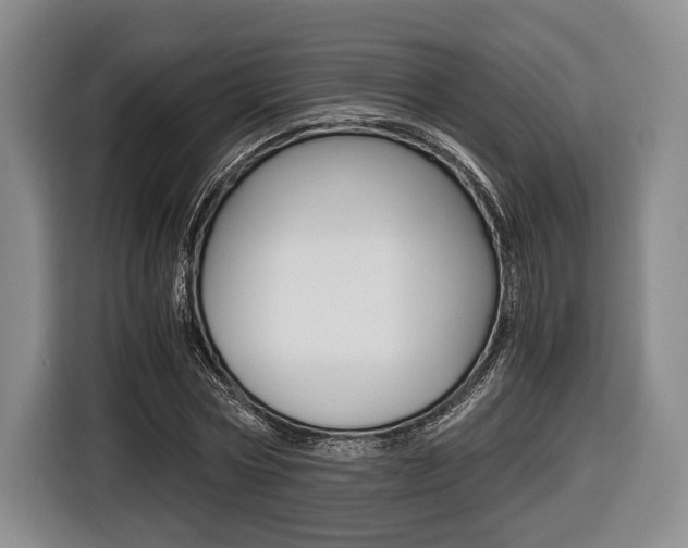 X0000116440778200912081352
