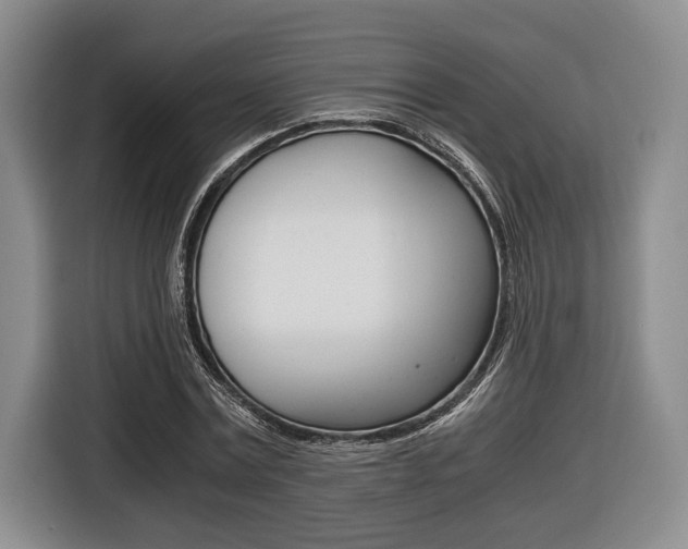 X0000116440779200912081352