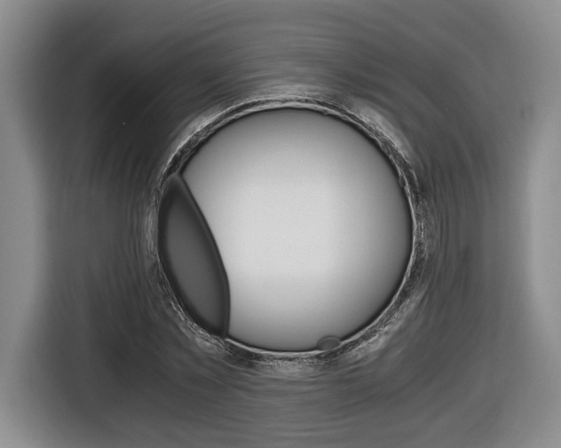 X0000116440781200912081352