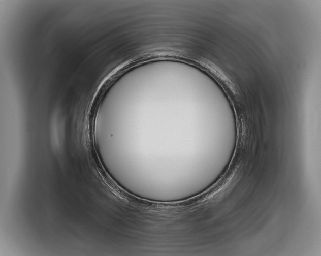 X0000116440782200912081352