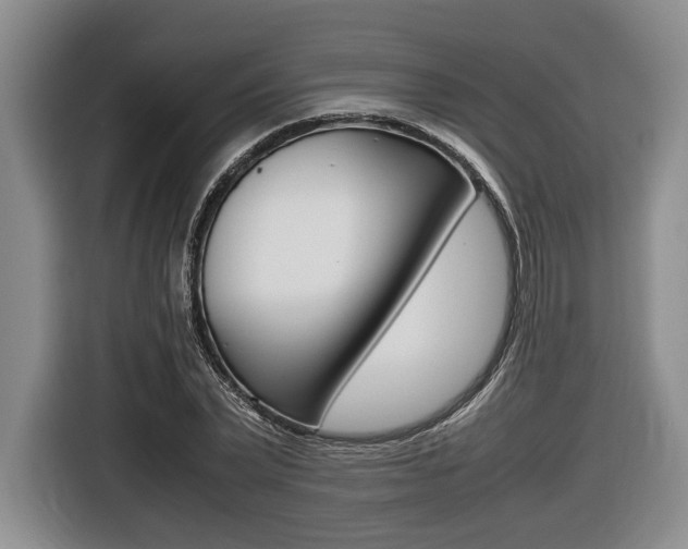 X0000116440783200912081352