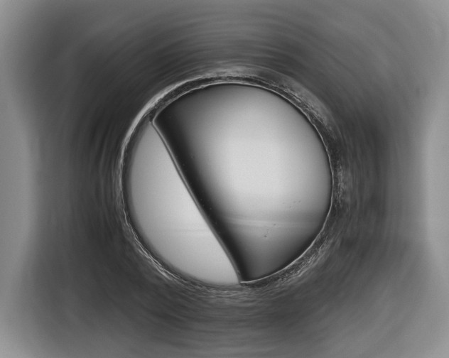 X0000116440784200912081352