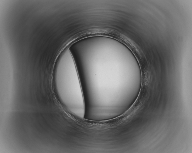 X0000116440786200912081352