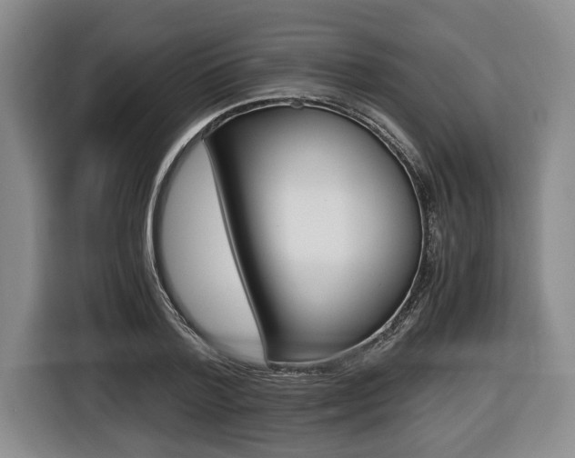 X0000116440788200912081352