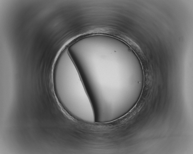 X0000116440792200912081352
