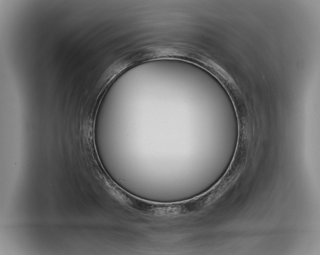 X0000116440793200912081352