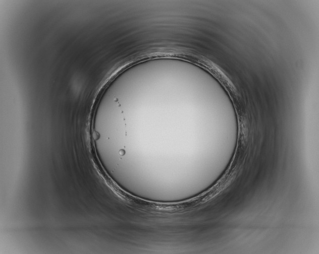 X0000116440794200912081352