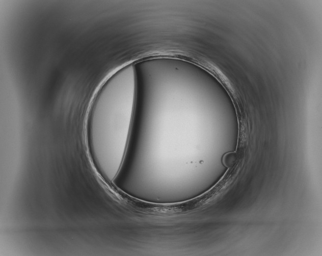X0000116440795200912081352