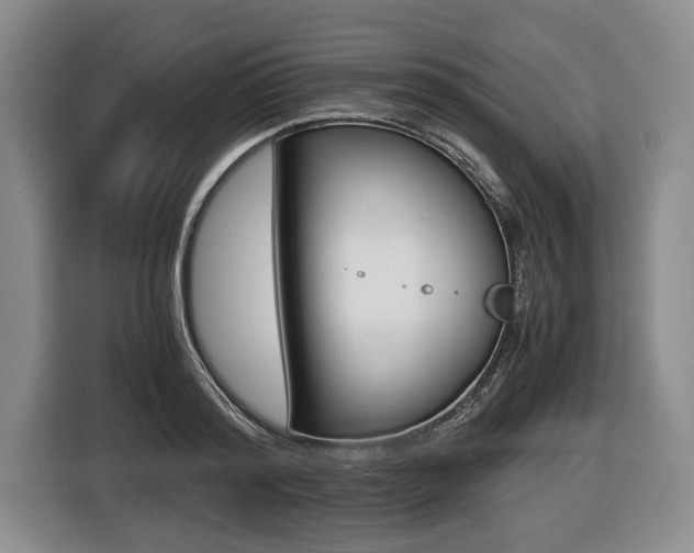 X0000116440796200912081352