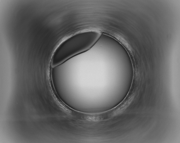 X0000116440797200912081352