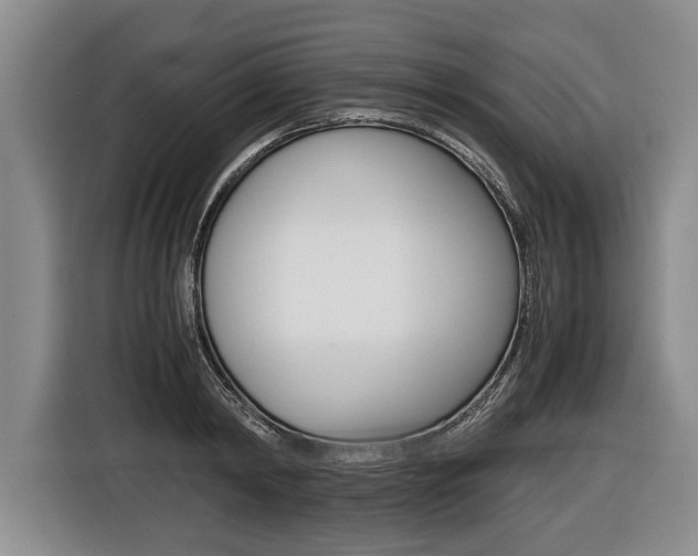 X0000116440798200912081352