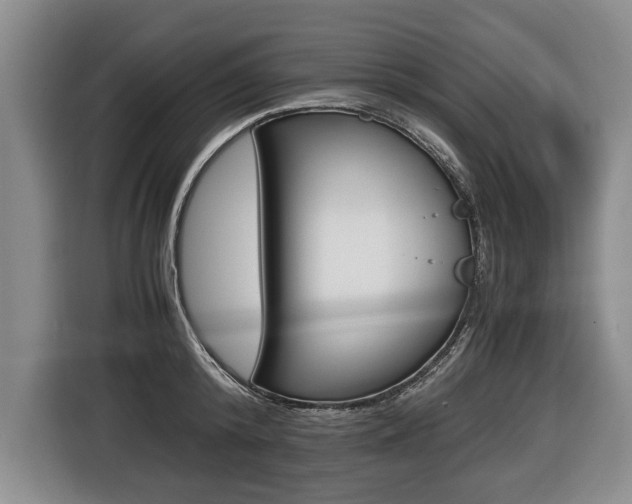 X0000116440800200912081352