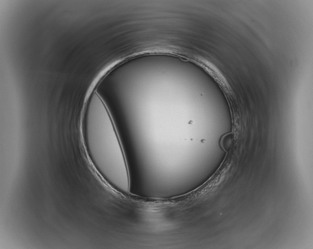 X0000116440804200912081351
