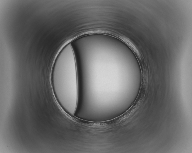 X0000116440805200912081351