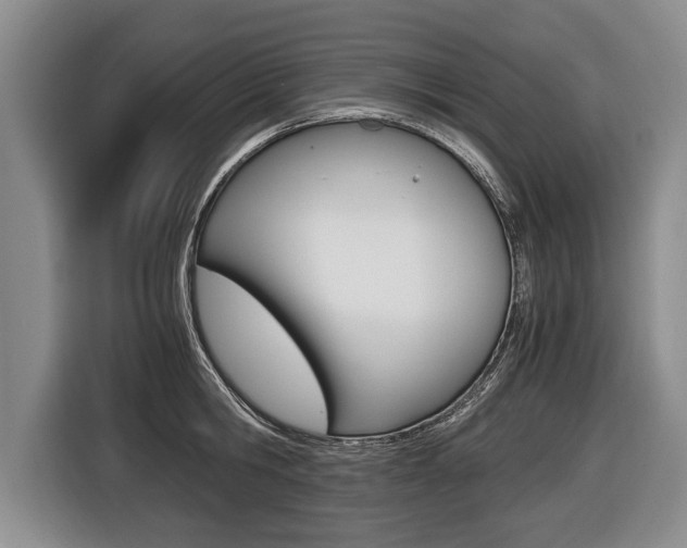 X0000116440806200912081351