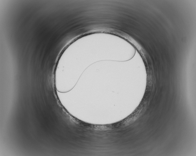 X0000116440807200912081351