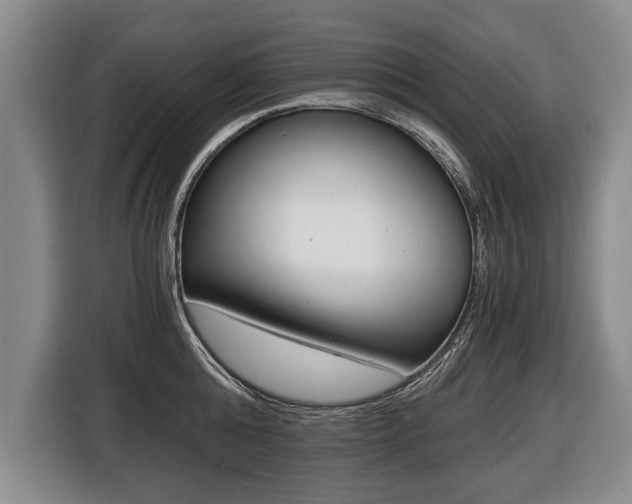 X0000116440808200912081351
