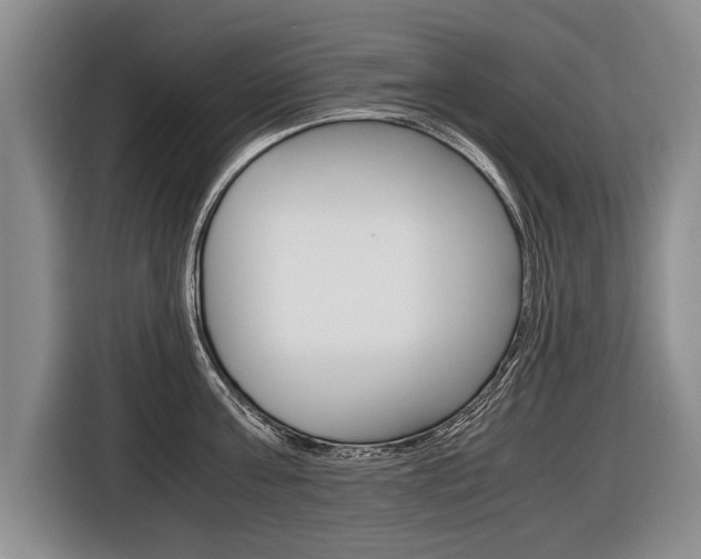 X0000116440811200912081351