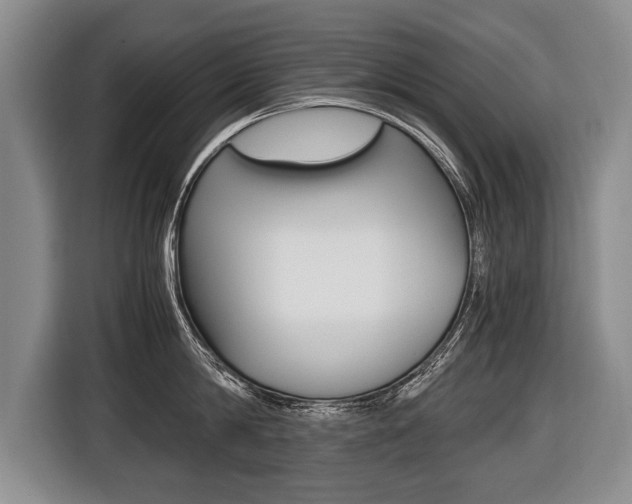 X0000116440814200912081351