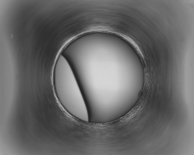 X0000116440815200912081351