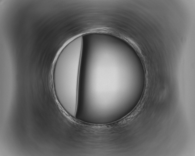 X0000116440816200912081351