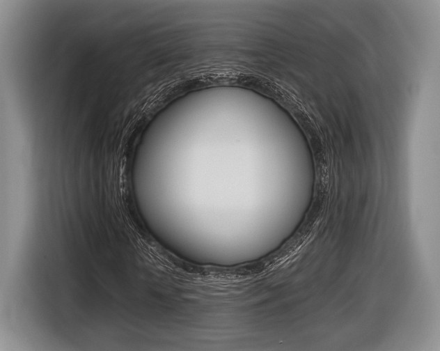 X0000116440818200912081351