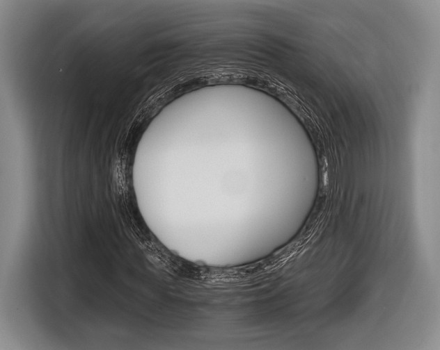 X0000116440819200912081351