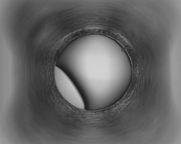 X0000116440821200912081351