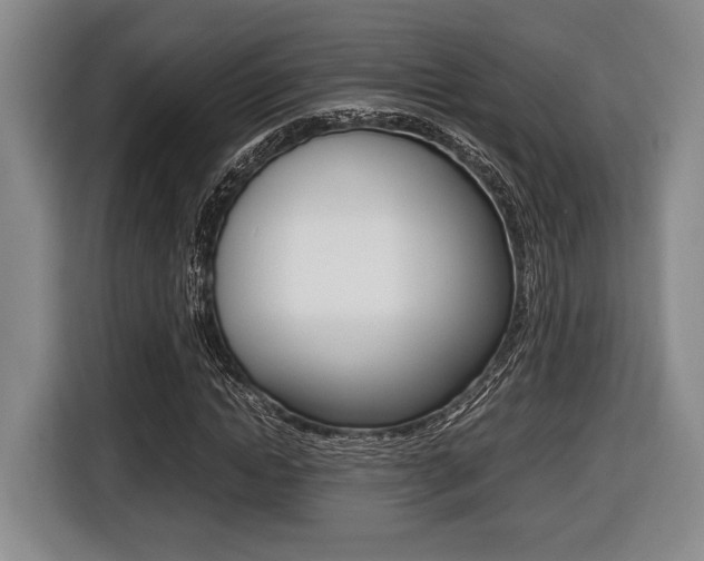 X0000116440822200912081351