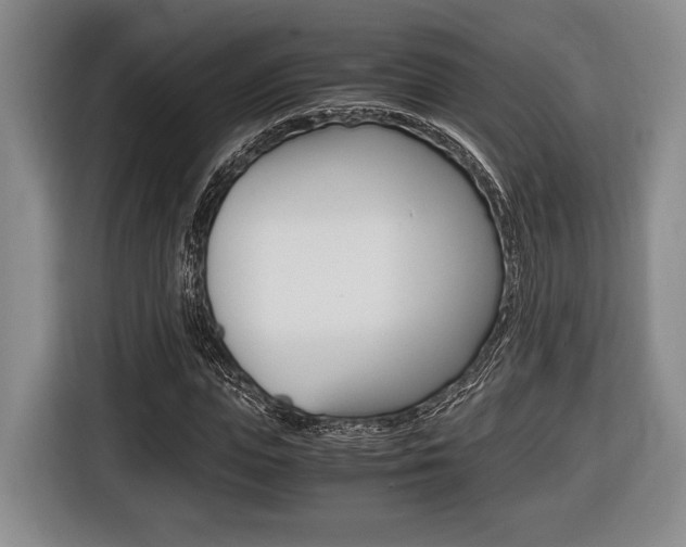 X0000116440823200912081351