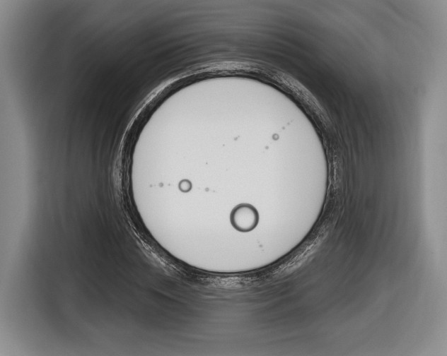 X0000116440828200912081351