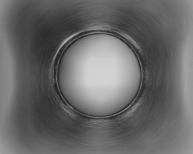 X0000116440830200912081351